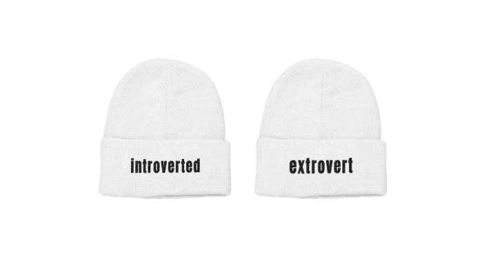 INTROVERTED/EXTROVERT BEANIE